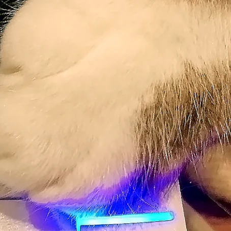 꺼진 전원 장면
