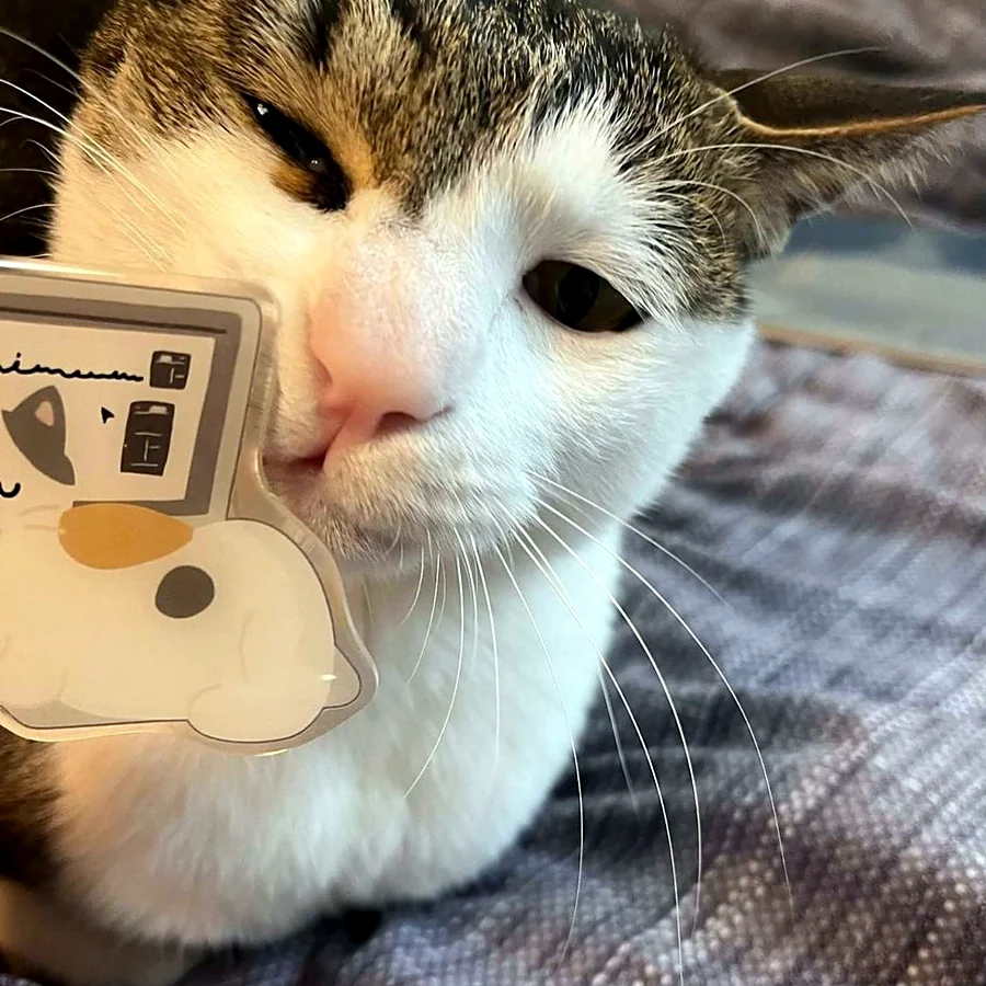 집사님이 보내 준 사진