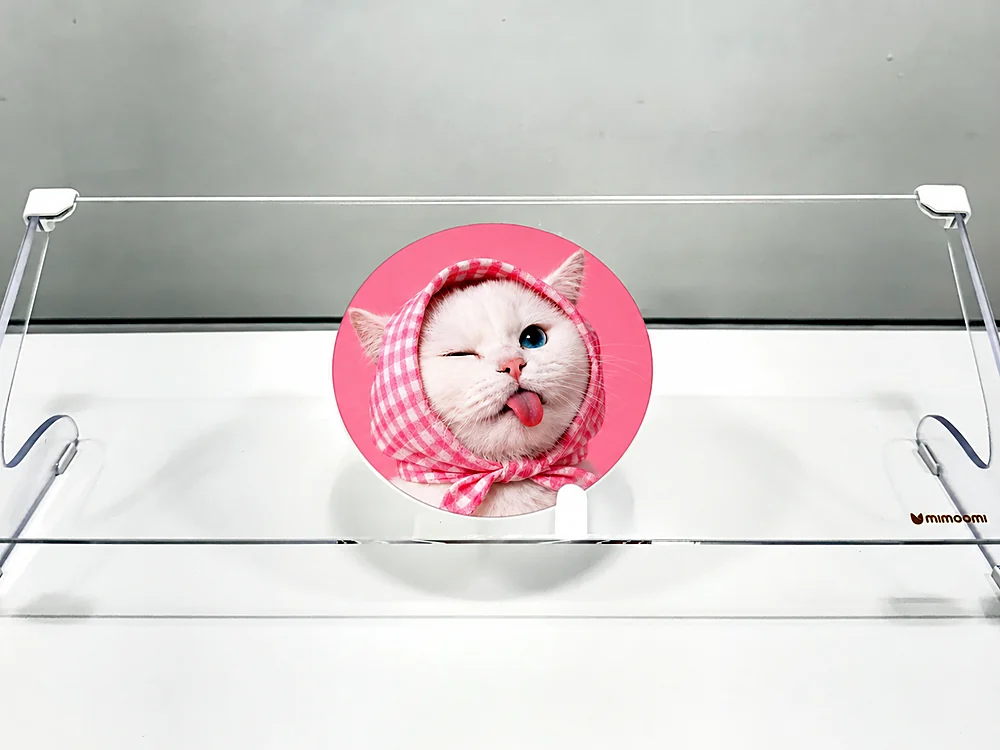 늘 보호